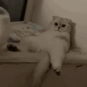 成人电影亚洲最大
